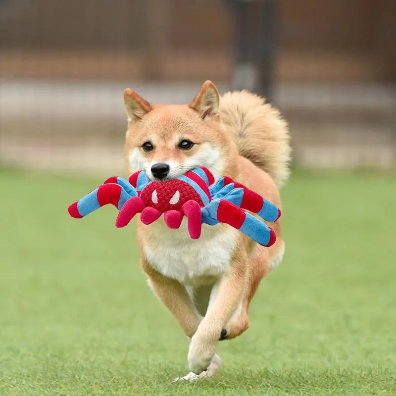 Red teddy bear dog toy with reinforced seams for medium and large breed dogs