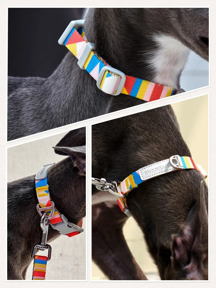 Blue nylon dog traction belt with 120cm lead on a white background, size M