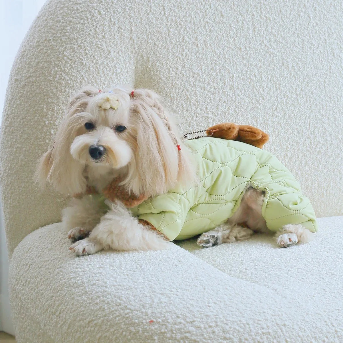 Light green cotton pet clothing with extra thick band and toy bear pendant on a dog