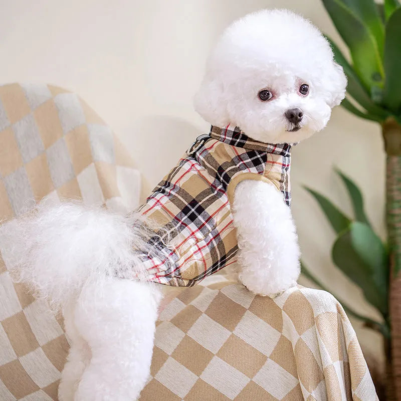 Winter pet dog jacket heavy cotton plaid with reflective webbing, green colour, on a small dog