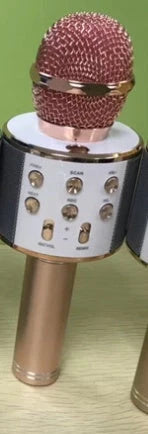 Wireless Microphone Bluetooth Mini Home KTV Speaker with optional lights