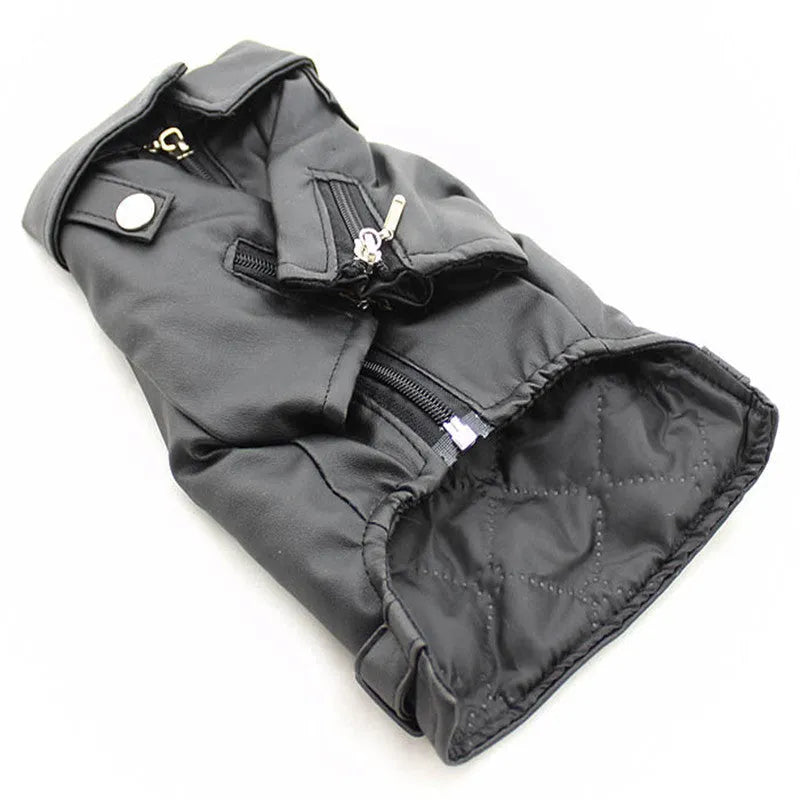 Small dog wearing an embroidered eagle faux leather jacket in chocolate brown, standing on a wooden floor