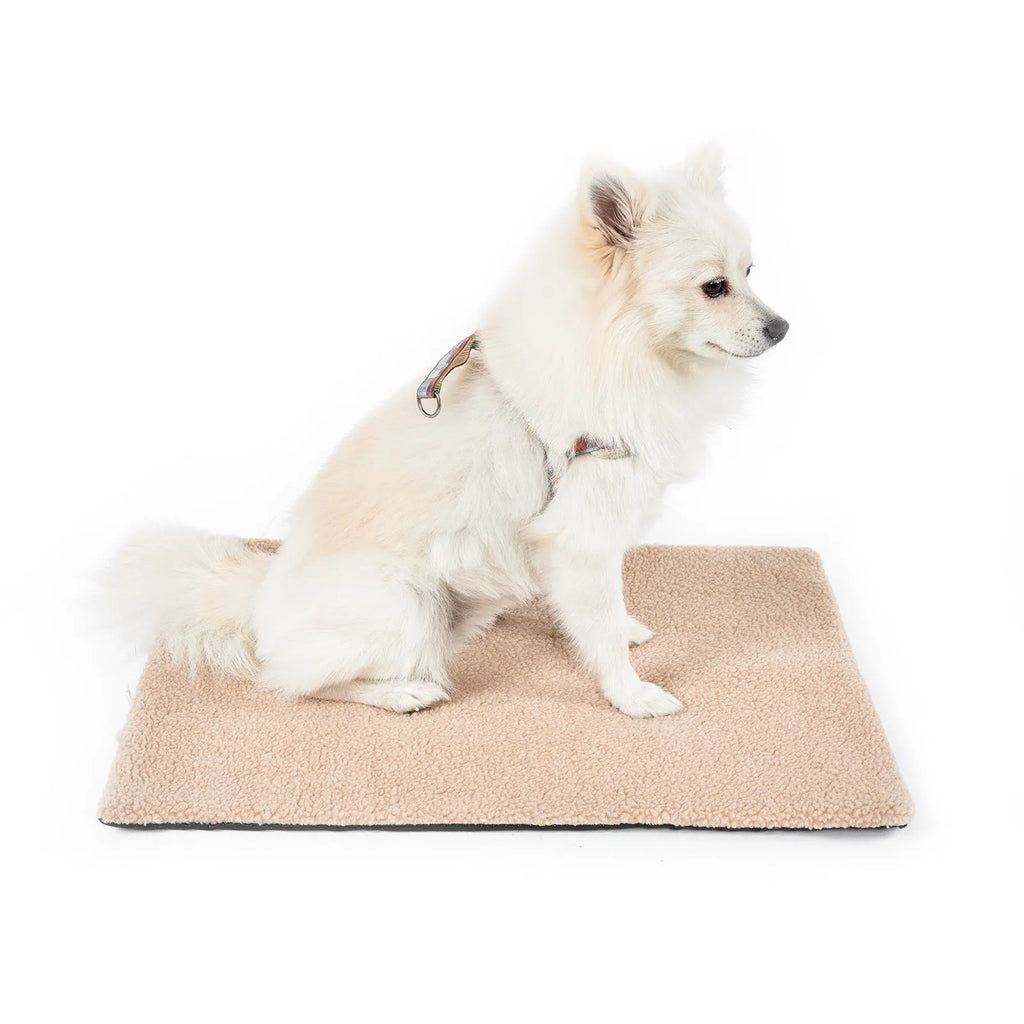 Self heating plush pet pad for cats in grey colour showing soft texture and rectangular shape