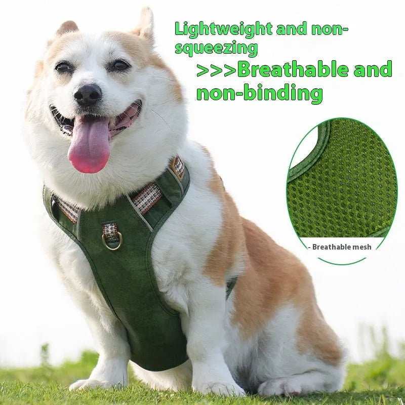Leather pet harness with reflective elements in chest harness design