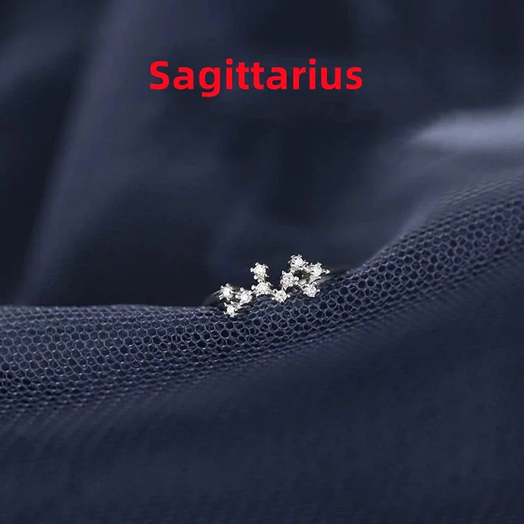 Silver Zodiac Sign Ring with detailed astrology symbols, electroplated for durability