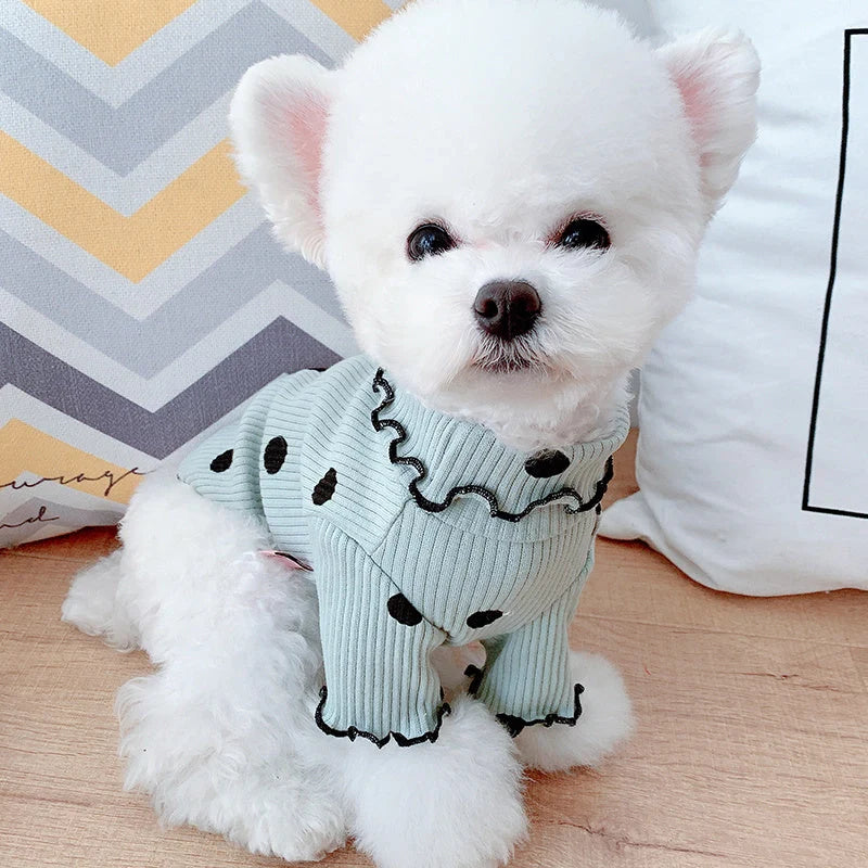 Dot turtleneck dog bottoming shirt in cotton with polka dot design
