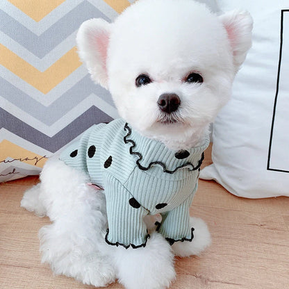 Dot turtleneck dog bottoming shirt in cotton with polka dot design