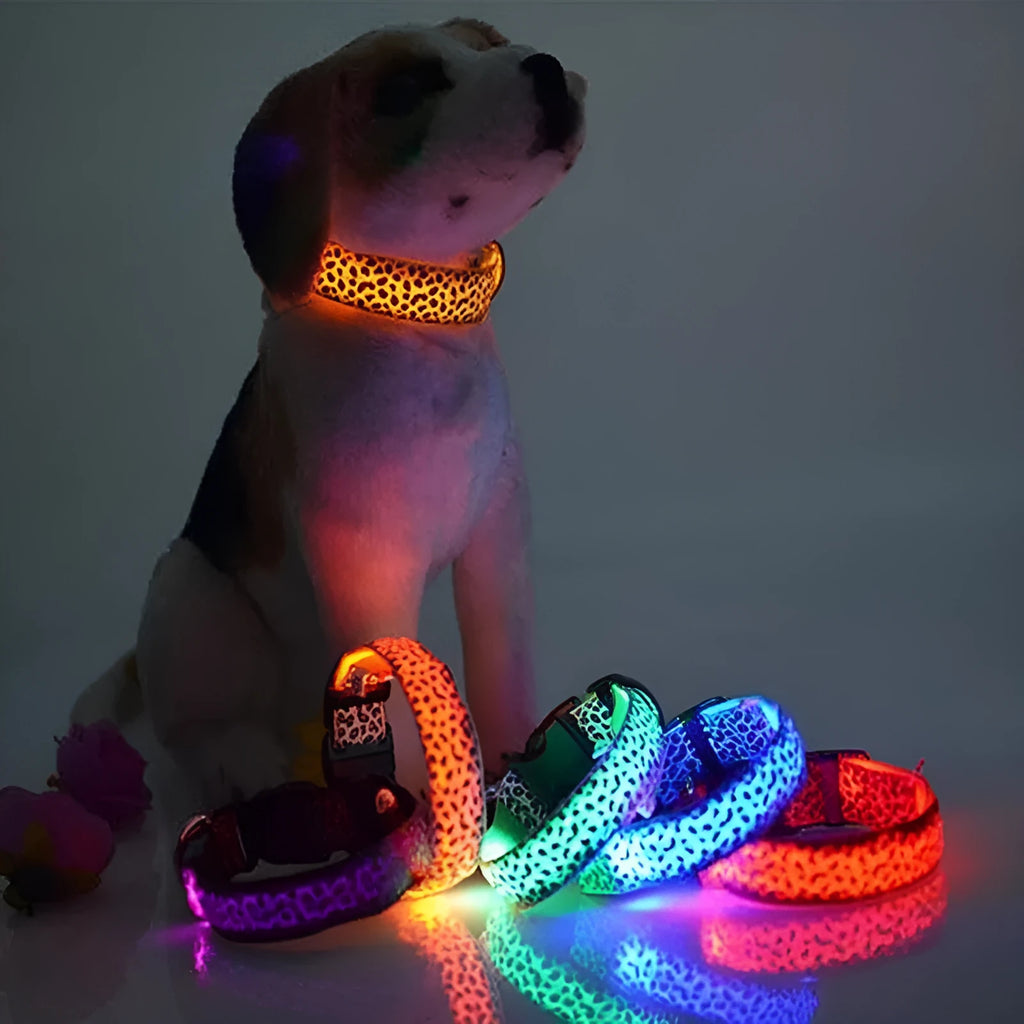LED dog collar with adjustable nylon strap and leopard print, showing LED light modes on a pet's neck