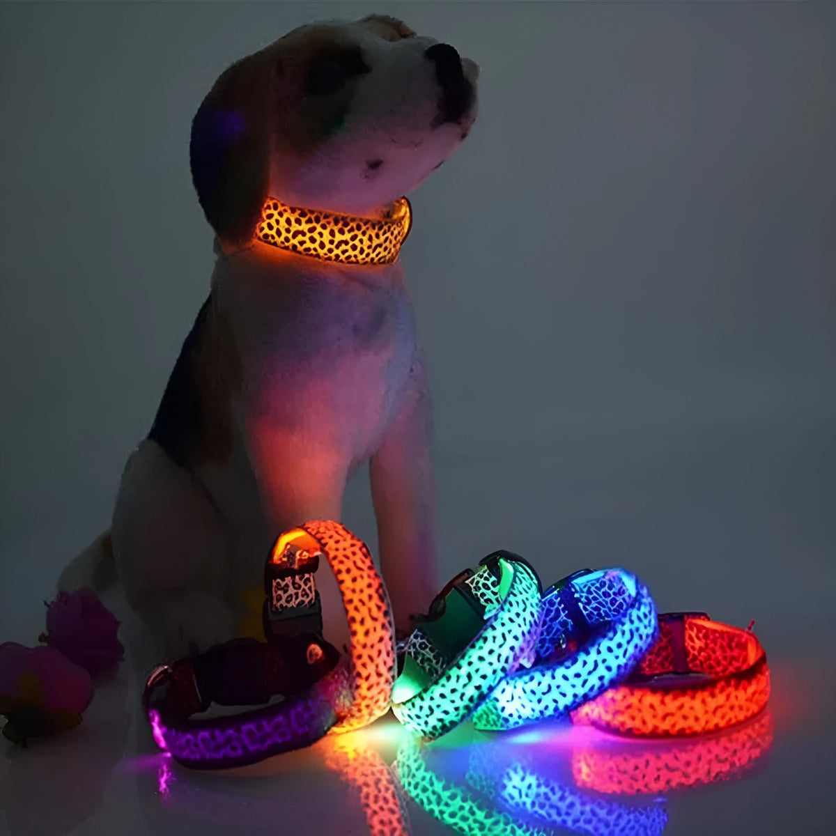 LED dog collar with adjustable nylon strap and leopard print, showing LED light modes on a pet's neck