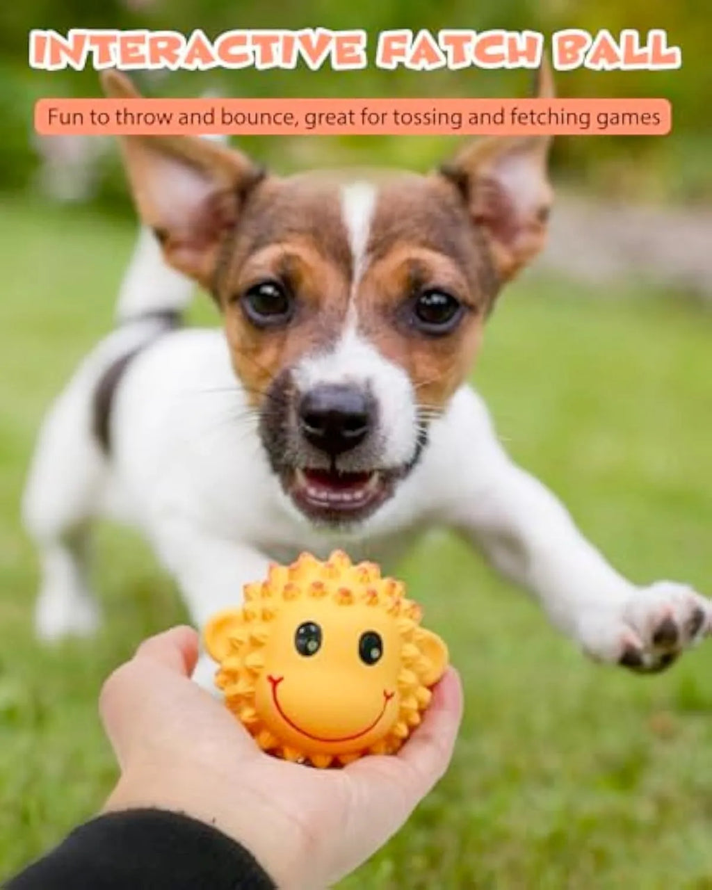 Orange and yellow latex squeaky dog toy with spiky texture for teeth cleaning