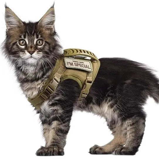Cat chest strap vest hand holding rope set in Oxford cloth free size black khaki army green colours
