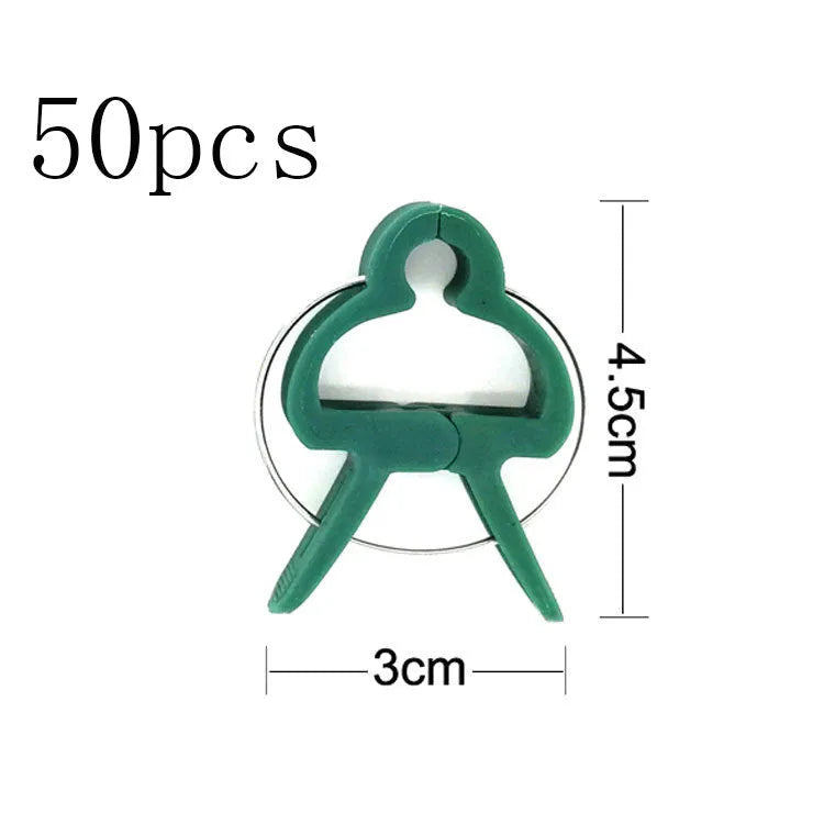 Green plastic and zinc plant fixing clips in large and small sizes for climbing plants.