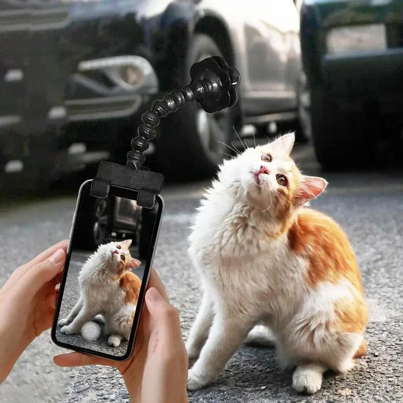 Premium pet camera clip for capturing cute and adorable moments with your furry friends