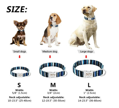 Reflective and durable dog collar with adjustable fit and visibility for small, medium, and large breeds