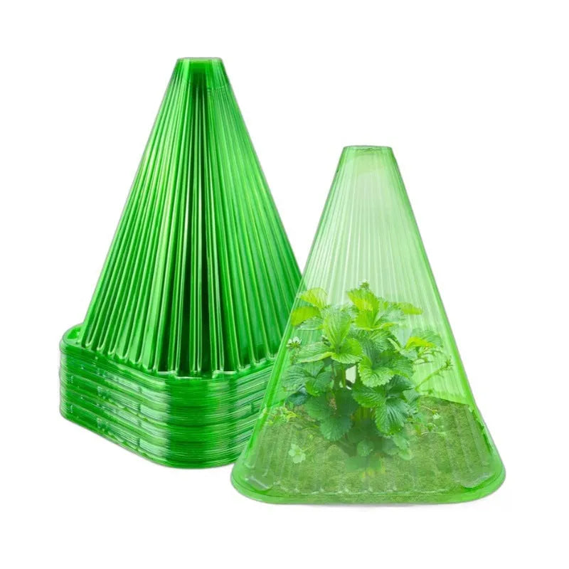 Reusable square bell jar plastic plant cover protecting a young plant in garden soil