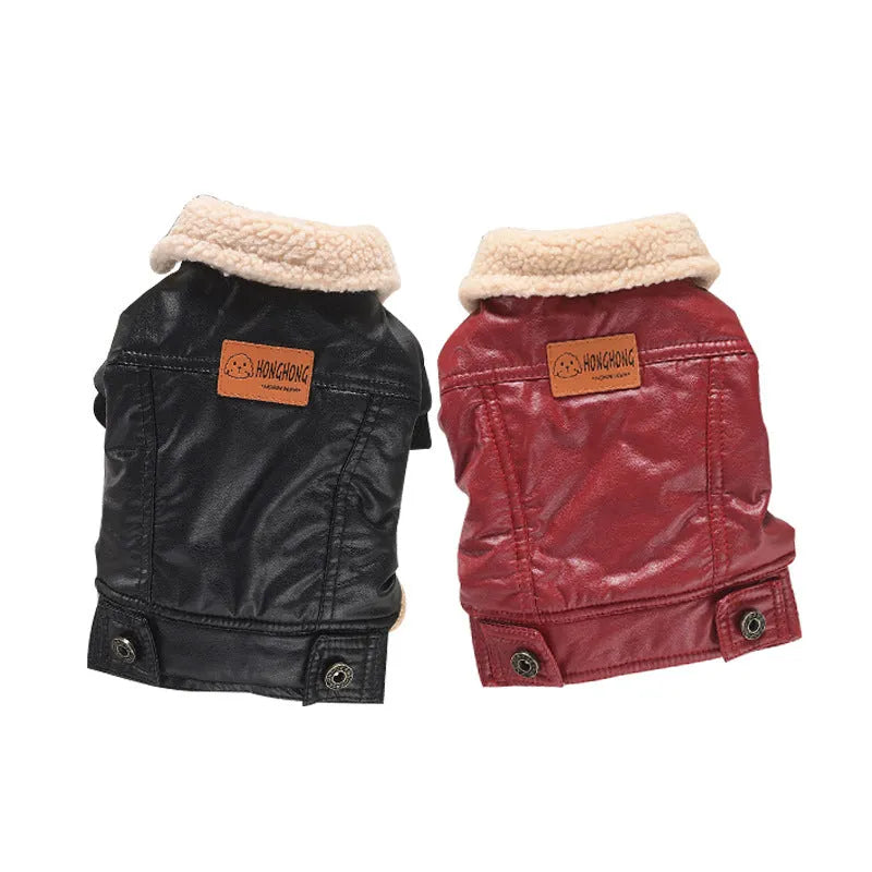 Black British-style PU leather dog coat with fleece lining, shown on a small dog.