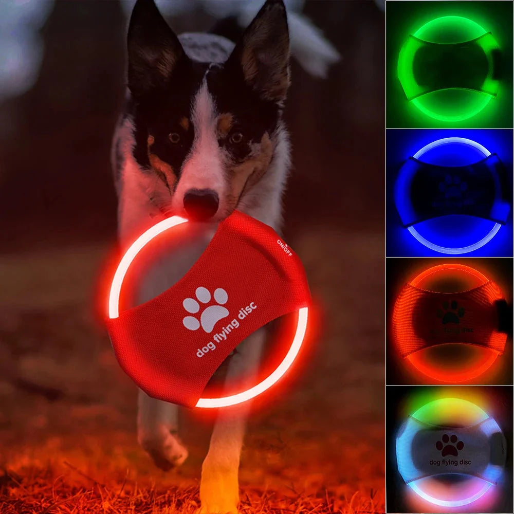 LED glowing dog flying disc in various colours, perfect for night-time play