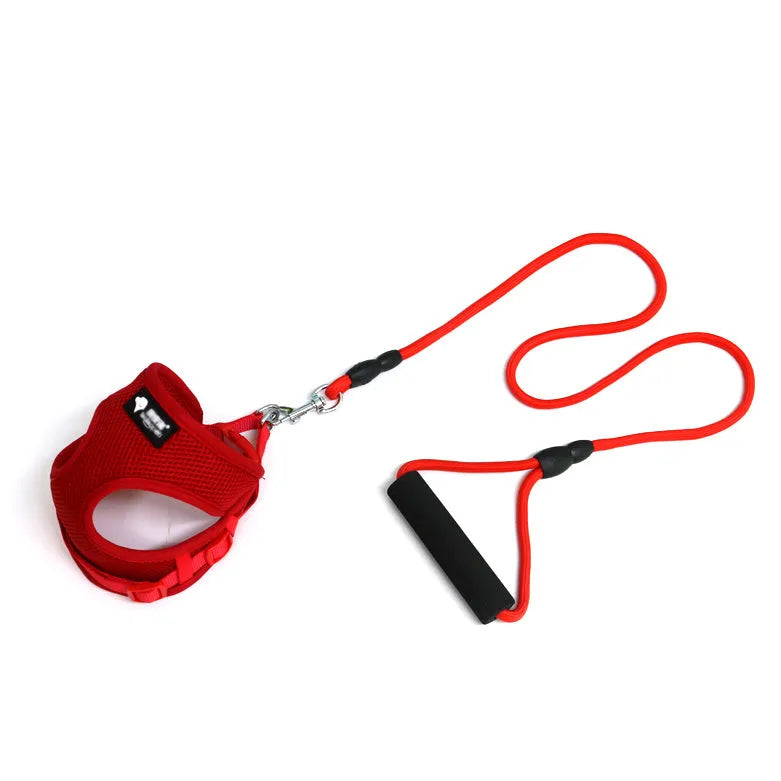 Blue round rope dog leash with foam handle showing adjustable bust and 120cm nylon mesh towing rope