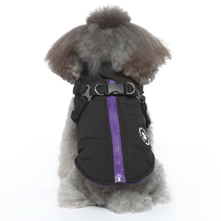 Adjustable chest strap jacket for pets in black, blue, green, and red