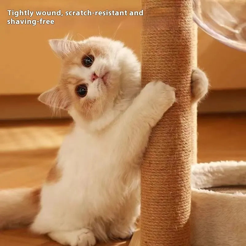 Wooden cat climbing frame with integrated space capsule design in wood colour