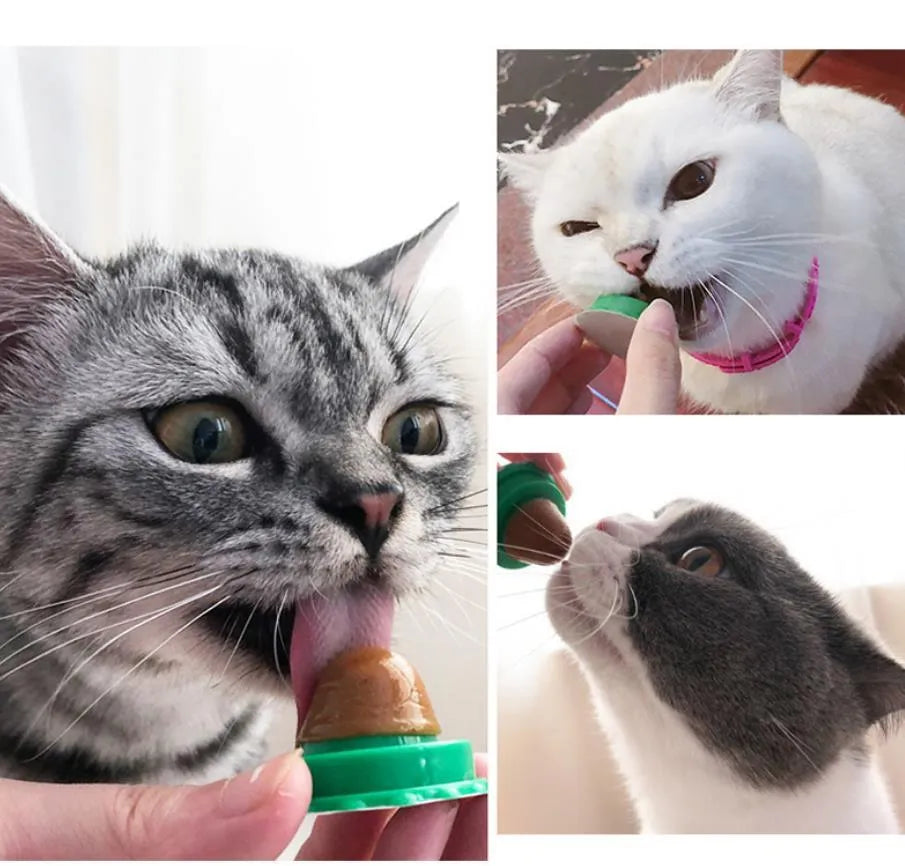 Cat sugar powerful pills 12g bag, 5 pieces in as-shown colours on a flat surface