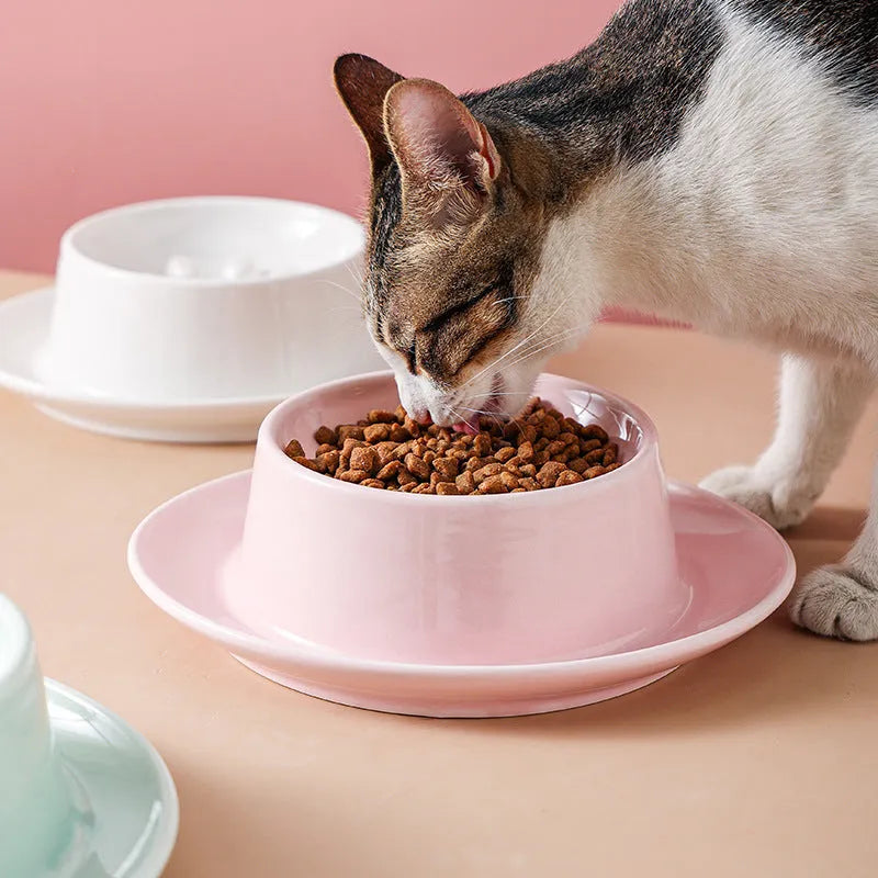Ceramic slow feed pet bowl in green with internal ridges and neck protection design.
