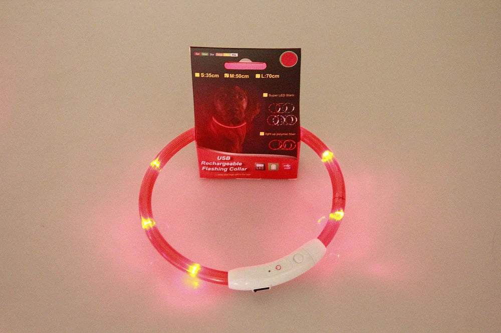 USB rechargeable pet safety collar with LED light for night visibility