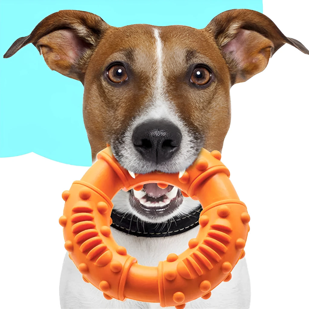 Blue, orange, and red bouncy hollow dog fetching stick toy for chewers and fetch games.
