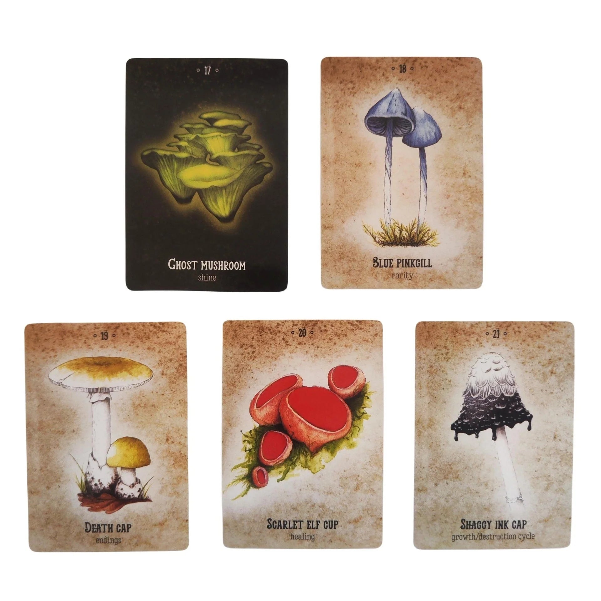 Mushroom Spirit Oracle Card Game for intellectual development and hand-eye coordination