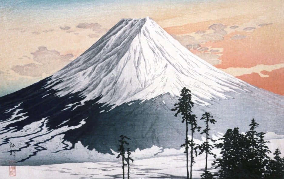 Animal Puzzle Craft Hub A3 Size Wooden Box for puzzle storage and display