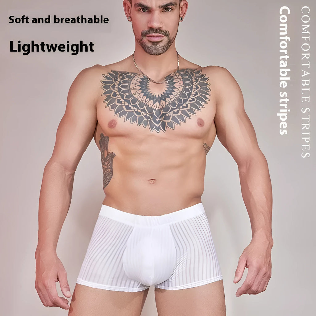 Men's thin transparent striped nylon briefs in black, dark grey and white colours.