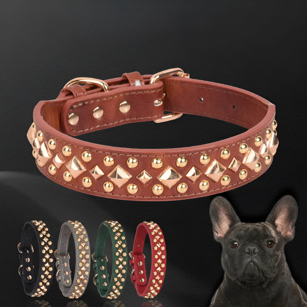 Rivet leather dog collar with golden rivet decoration in retro style, shown in black colour on a plain background