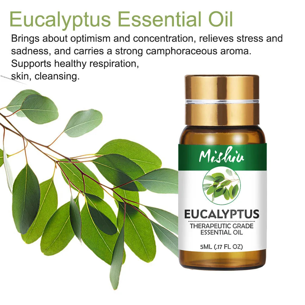Beauty Aromatherapy Essential Oil 5ml eucalyptus oil bottle with U-shaped plug on white background