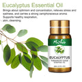 Beauty Aromatherapy Essential Oil 5ml eucalyptus oil bottle with U-shaped plug on white background