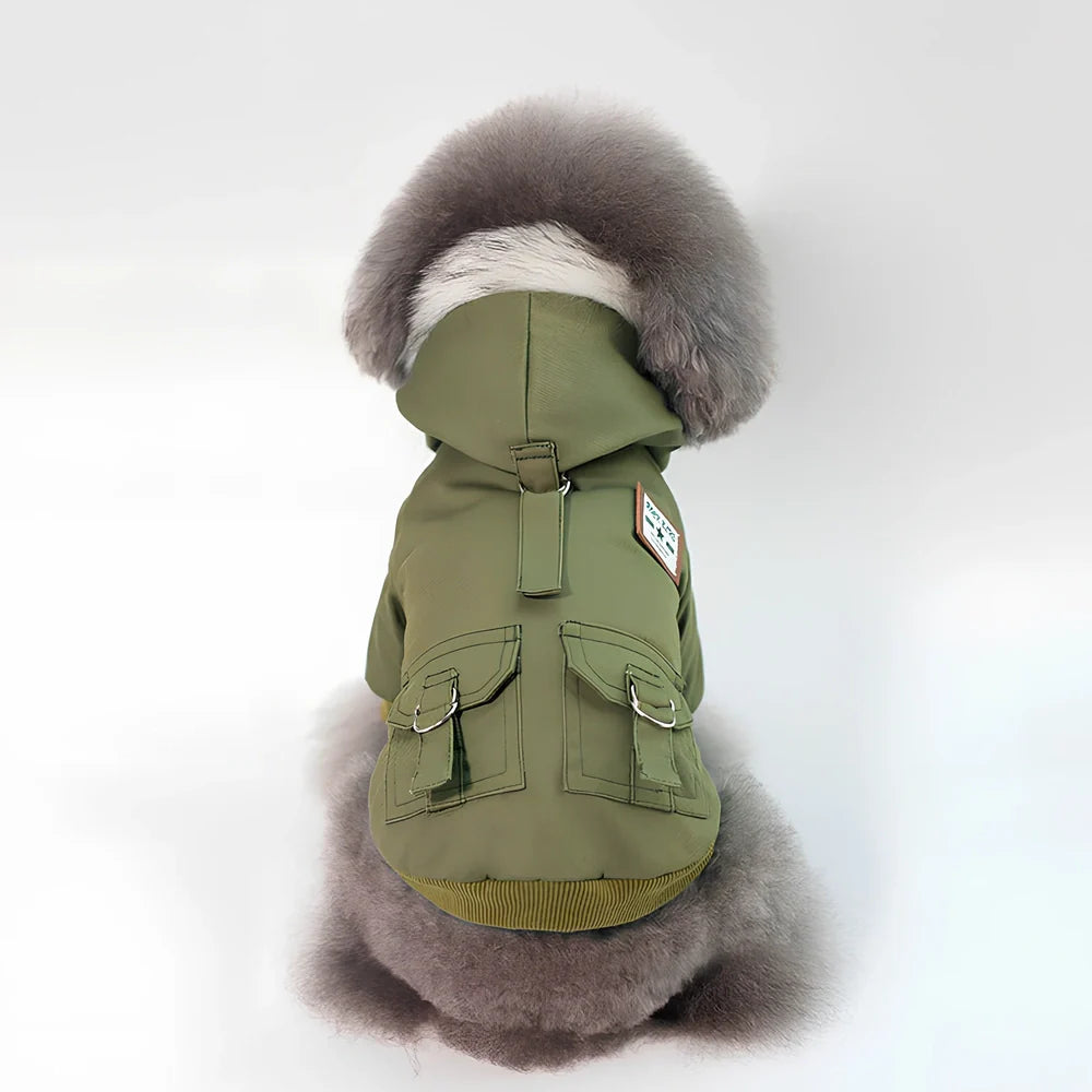 Grey cap dog coat hoodie on small breed like Chihuahua, warm wool blend for autumn winter, sizes S-XXL available