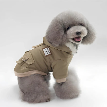 Grey cap dog coat hoodie on small breed like Chihuahua, warm wool blend for autumn winter, sizes S-XXL available