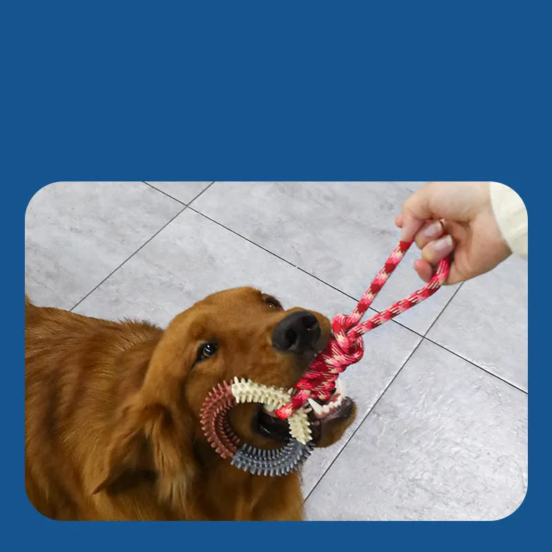Blue braided rope dog chew toy with knots measuring 43cm length