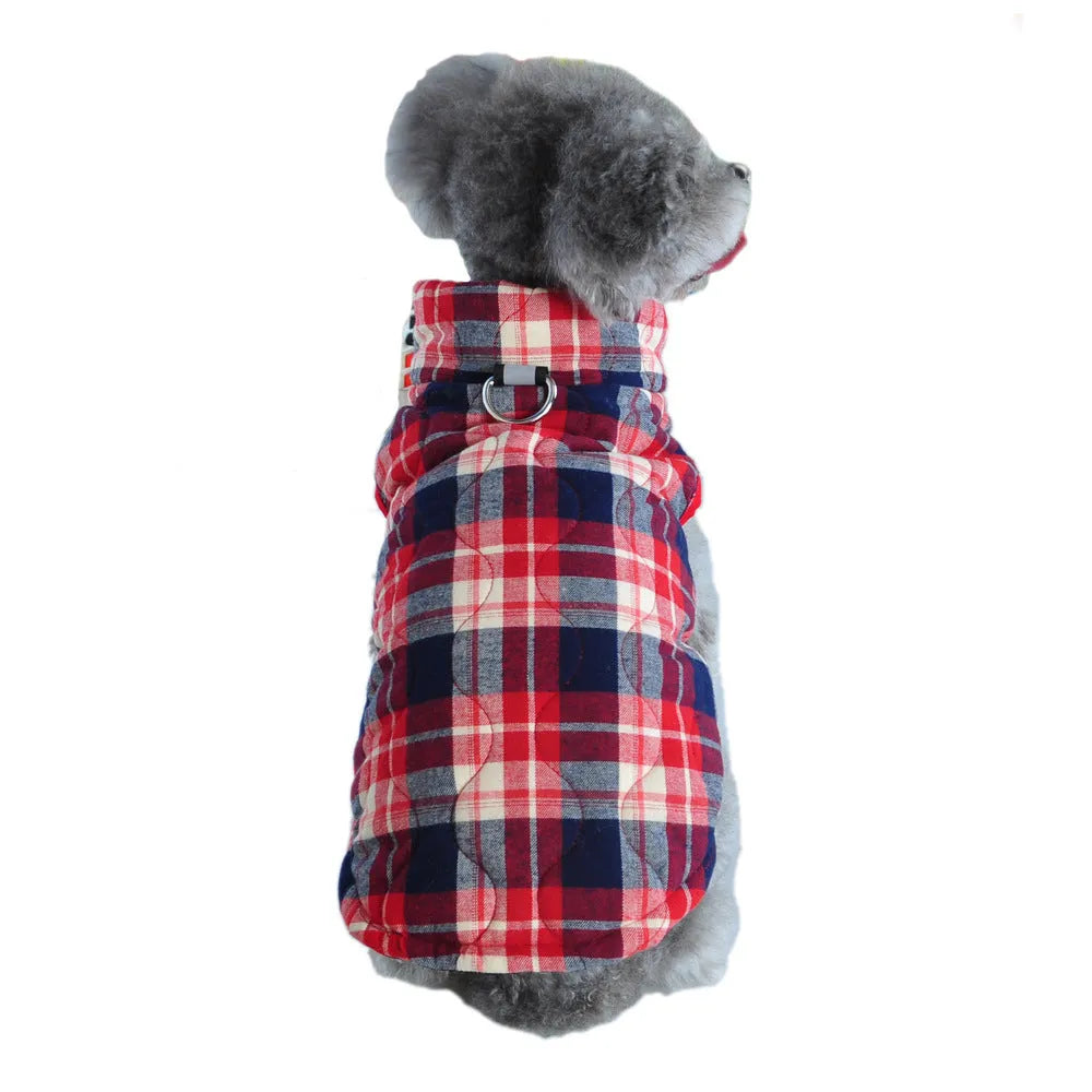 Winter pet dog jacket heavy cotton plaid with reflective webbing, green colour, on a small dog