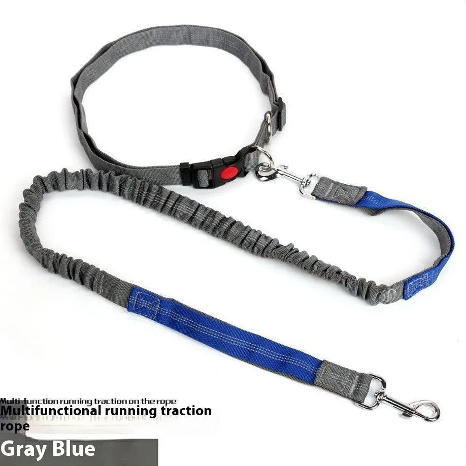 Grey and green reflective elastic dog leash for outdoor running, showing 2.5cm wide nylon construction.
