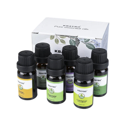 Premium Essential Oils Kit with six varieties including Lavender and Peppermint for natural wellbeing