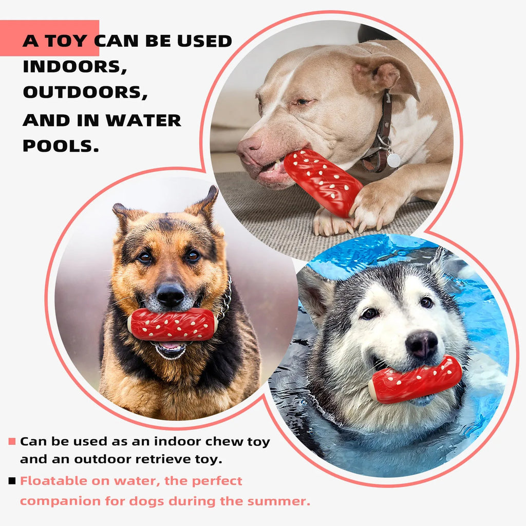 Primary colour bone-shaped dog chew toy with textured rubber cleaning surface.