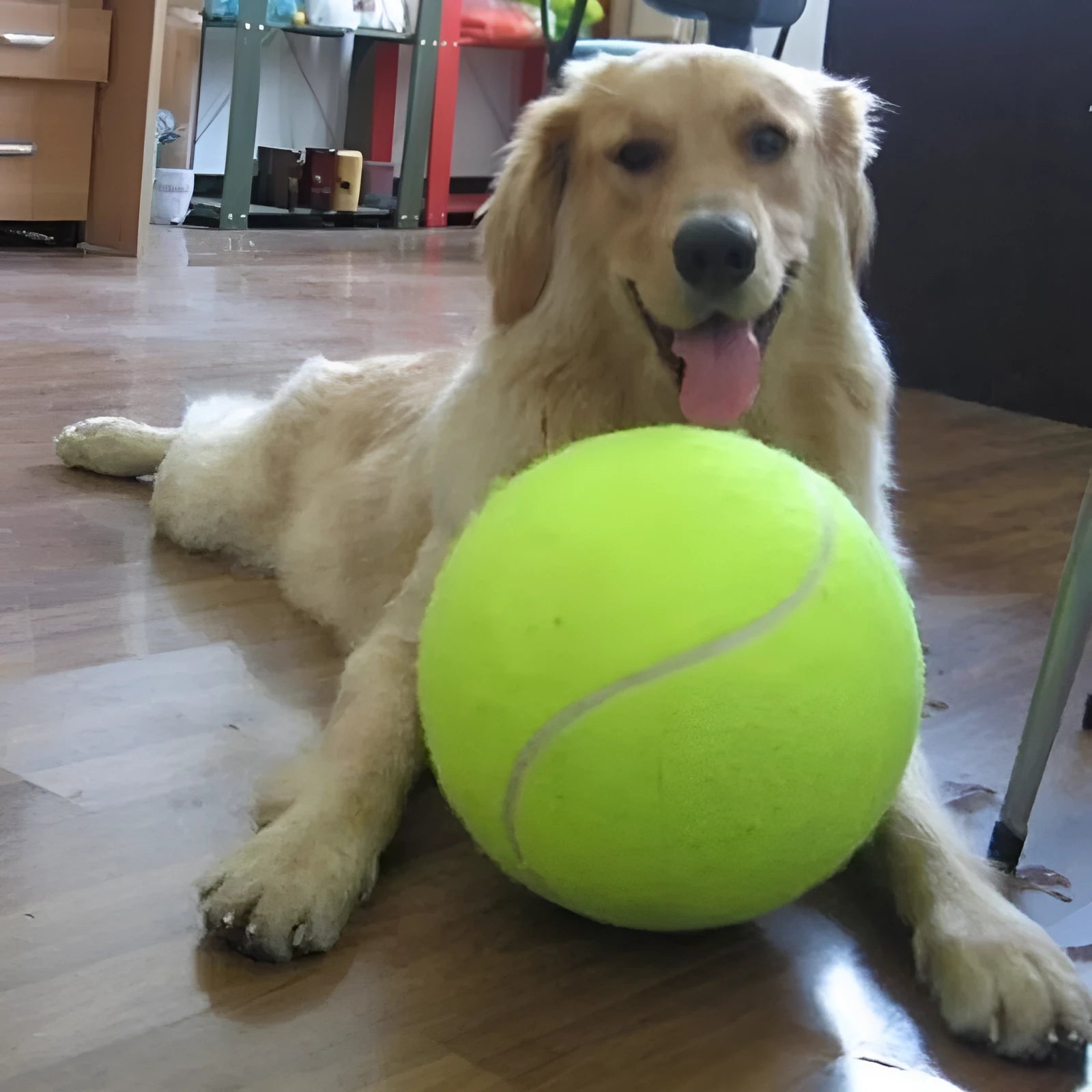 64mm non-toxic rubber and felt dog molar tennis ball toy for chewing and fetching