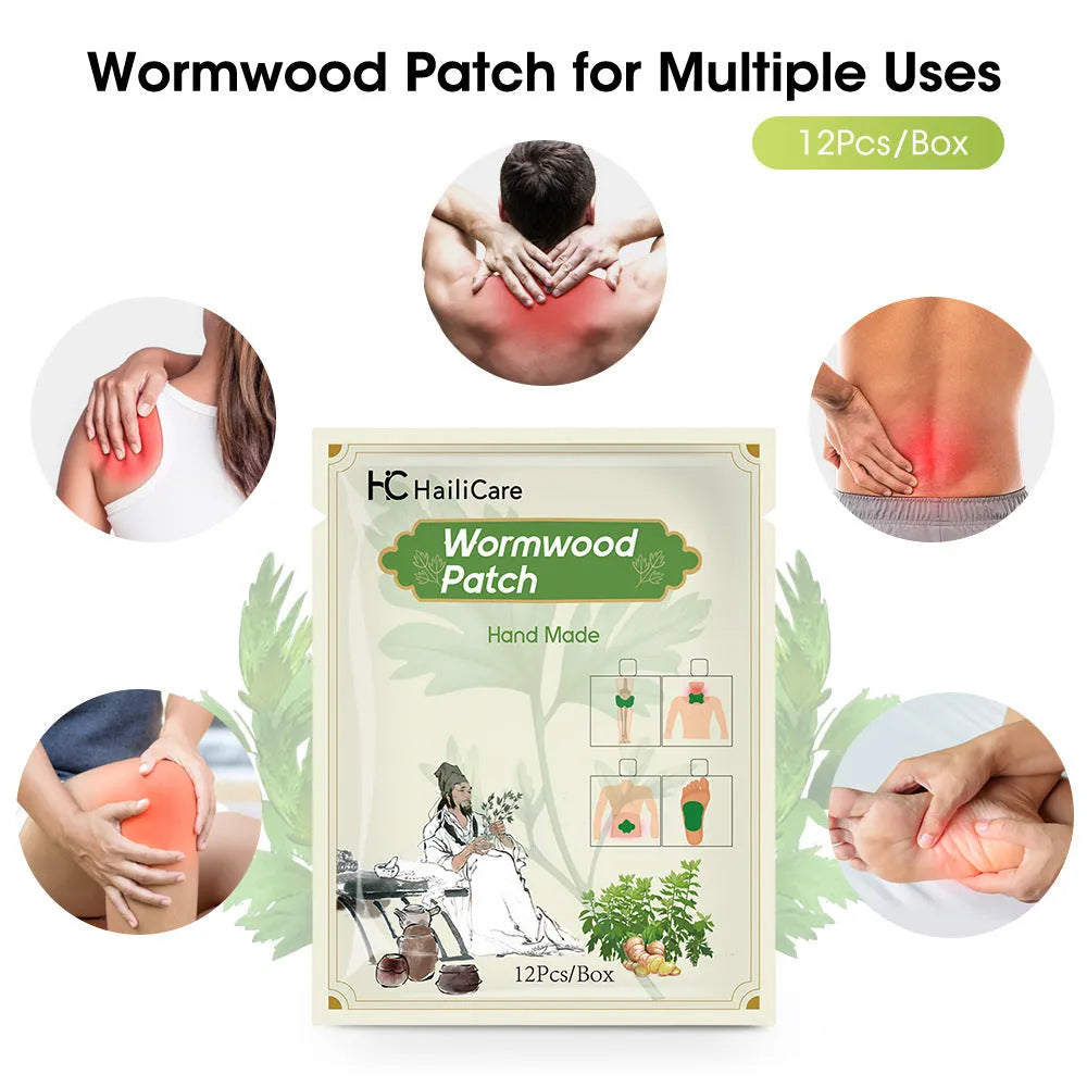 Pack of 12 Chinese mugwort herbal plasters for knee, back, neck, and foot application.