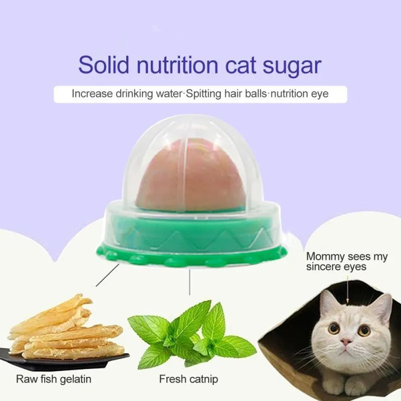 Cat sugar powerful pills 12g bag, 5 pieces in as-shown colours on a flat surface