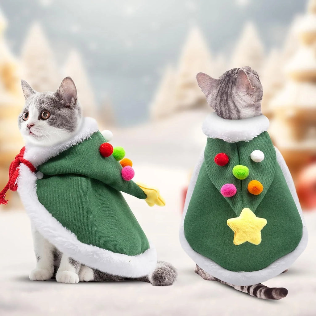 Cat wearing a velvet Christmas cape with star pattern and matching hat in brown, with adjustable tie rope visible