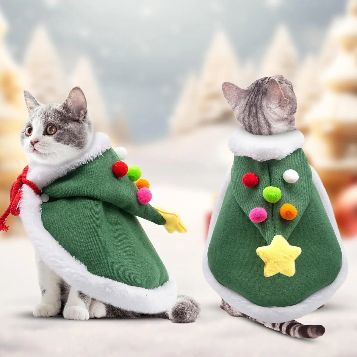 Cat wearing a velvet Christmas cape with star pattern and matching hat in brown, with adjustable tie rope visible