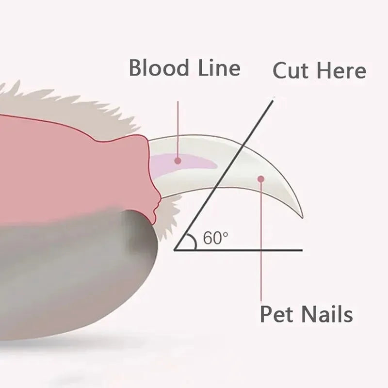 Blue pet nail clippers with LED light on, showing stainless steel blade and non-slip plastic handle.
