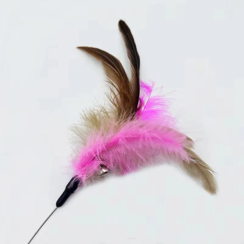 Blue adjustable cat collar with feathers and bell, plus a teasing wand with a soft silicone tip.