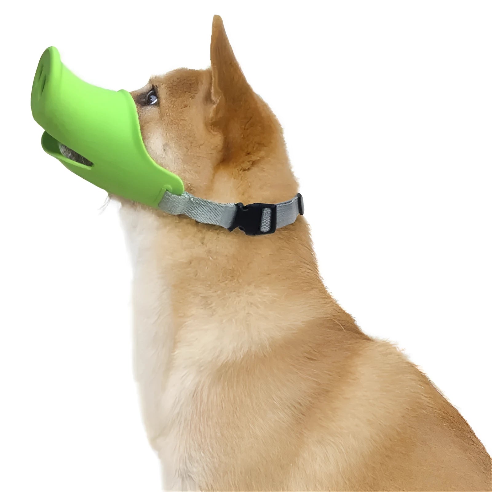 Blue silicone dog anti-bite mouth cover showing measurements for large and small sizing options