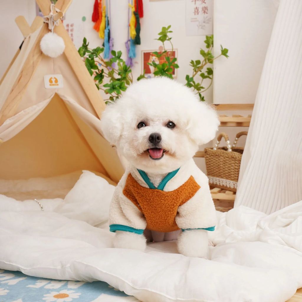 Lambswool pet fleece sweatshirt in caramel colour showing casual design for autumn and winter wear